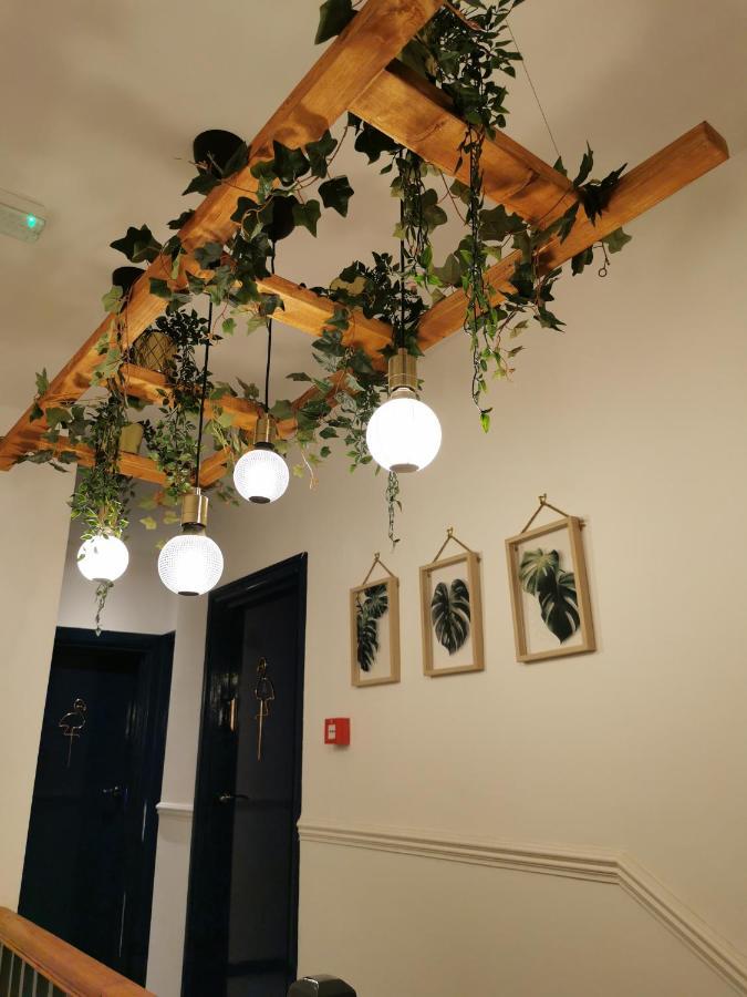 Flamingo Lodge Торкі Екстер'єр фото